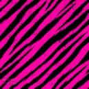 zibra skin