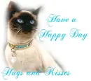 have a happy day