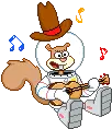 squirrel