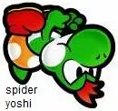 Spider yoshii 