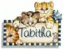 cats tag