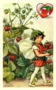 STRAWBERRY PICKINS