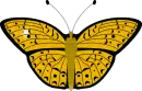 my cute butterfly