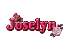 Rose & Bud: Joselyn