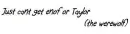 Taylor laurnet