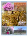 Seasons