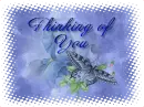 Thinking of You