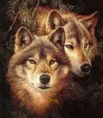 Wolves