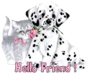hello friend