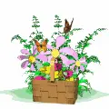 Flowers & Butterflies