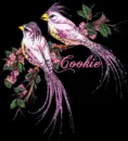 Cookie