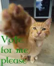 Vote me