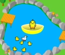 monkey and ducks