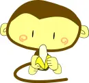 cute monkey