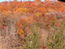 Fall