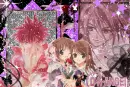 D.N.Angel