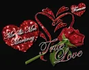 MR & MRS MARTINEZ- TRUE LOVE FOREVER