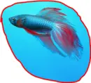 glub glub