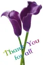 Thank You my Angel