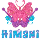 Himani Butterfly Guitars