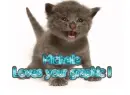 kitty michelle loves your graphic