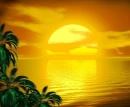 YELLOW SUNSET