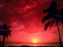 TROPICAL SUNSET