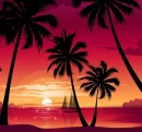 TROPICAL