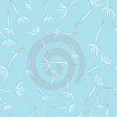 feathers