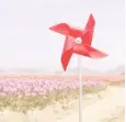 Pinwheel