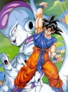 dragon ball z