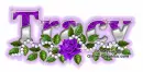 Tracy purple rose