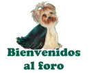 Bienvenidos al foro