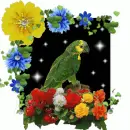 ara
