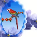 red