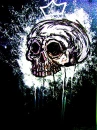 skull