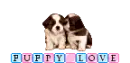 Puppy Love