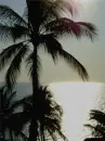 cute beach