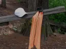 cute stuff