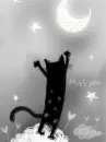LOVELY MOON