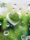 lovely heart..