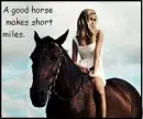 A good horse