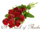 thanks