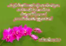 proverbs