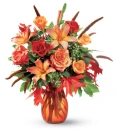 Roses & Flowers