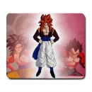dragon ball gt