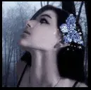 strange butterfly