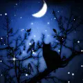 blue moonlight