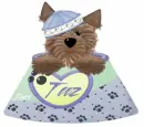 taz
