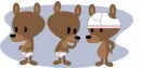 bears